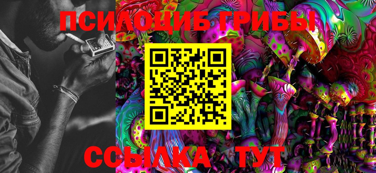 Бутурлиновка  Галлюциногенные грибы MAGIC MUSHROOMS  Вход с VPN 